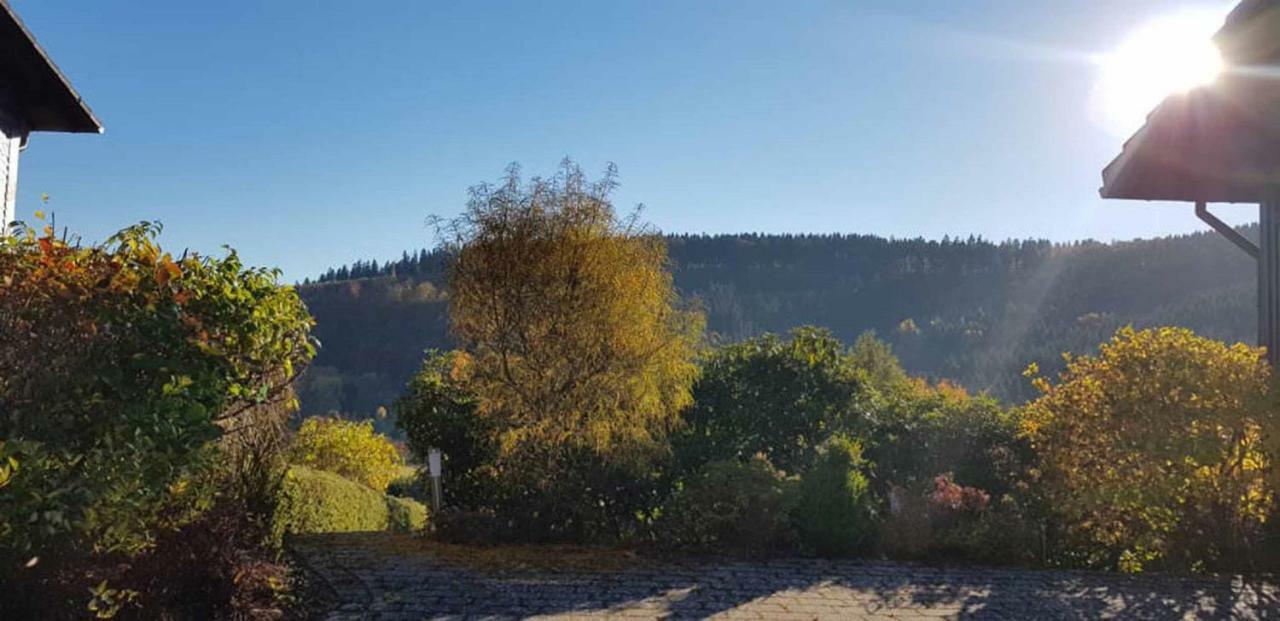 Haus Ani Winterberg Villa Exterior foto